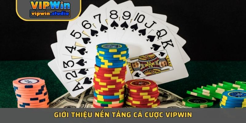 Giới thiệu VIPWIN tổng quát nhất
