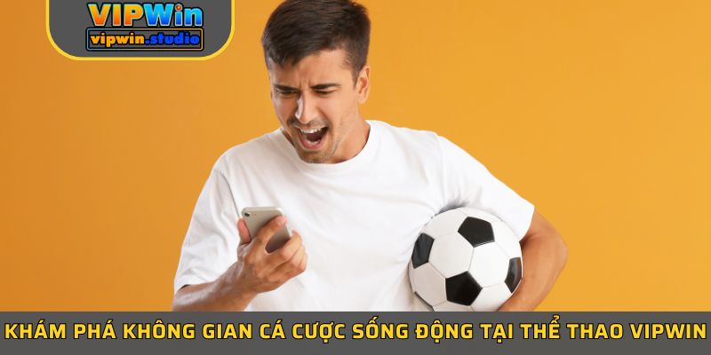 Khám phá không gian cá cược sống động tại thể thao Vipwin