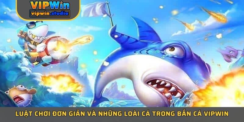 Luật chơi đơn giản và những loài cá trong bắn cá Vipwin