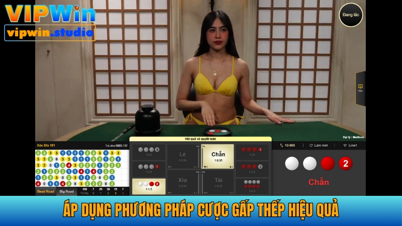 Chiến thuật chơi xóc đĩa cược gấp thếp thắng lớn