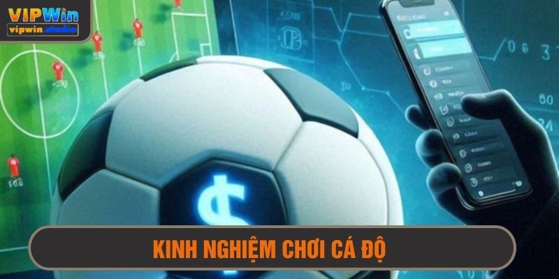 Kinh nghiệm chơi cá độ