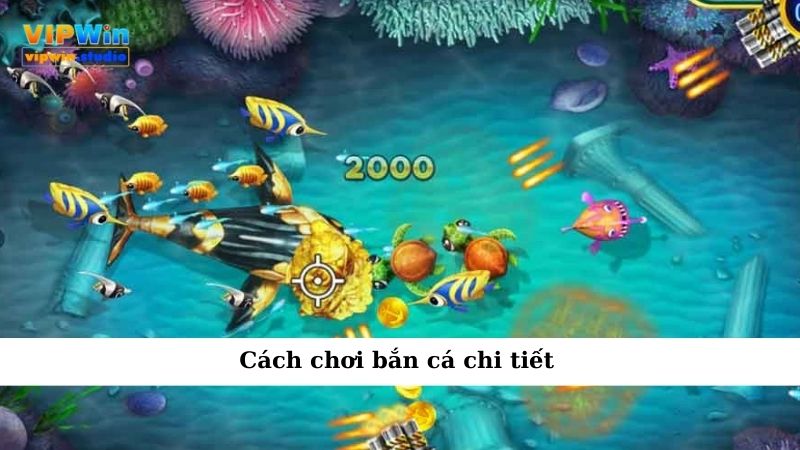 Cách chơi bắn cá