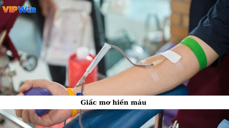 Mơ Thấy Máu Khiến Tim Đập Nhanh Không Hiểu Vì Đâu 4 Giấc mơ hiến máu