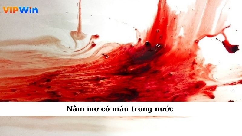 Mơ Thấy Máu Khiến Tim Đập Nhanh Không Hiểu Vì Đâu 3 Nằm mơ có máu trong nước