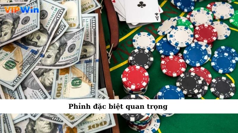 Phỉnh đặc biệt quan trọng