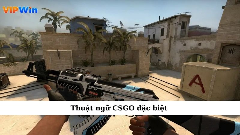 Thuật ngữ CSGO đặc biệt