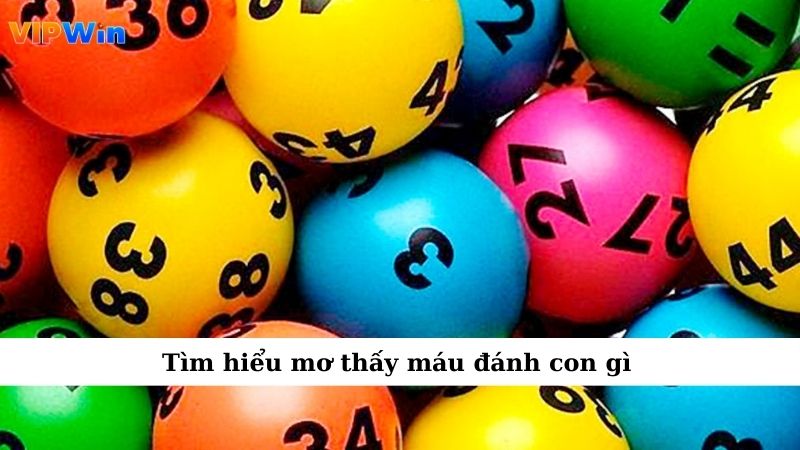 Mơ Thấy Máu Khiến Tim Đập Nhanh Không Hiểu Vì Đâu 5 Tìm hiểu mơ thấy máu đánh con gì